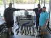 (05/09/2018) - Nice Striped Bass